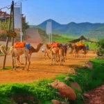 Excursiones Privadas desde Marrakech Excursion aux cascades dOuzoud depuis Marrakech