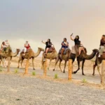 Excursiones Privadas desde MarrakechDesierto de Agafay  Almuerzo y espectáculo